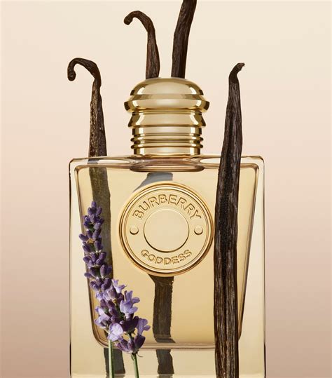 burberry burberry goddess eau de parfum|where to buy her perfume.